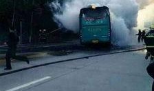 惠州汽车最新爆料,揭秘即将上市的热门车型！